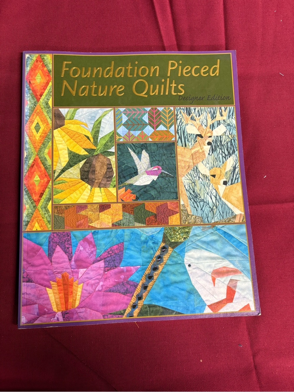 Foundation Pieced Nature Quilts - Designer Edition (Multicolor)